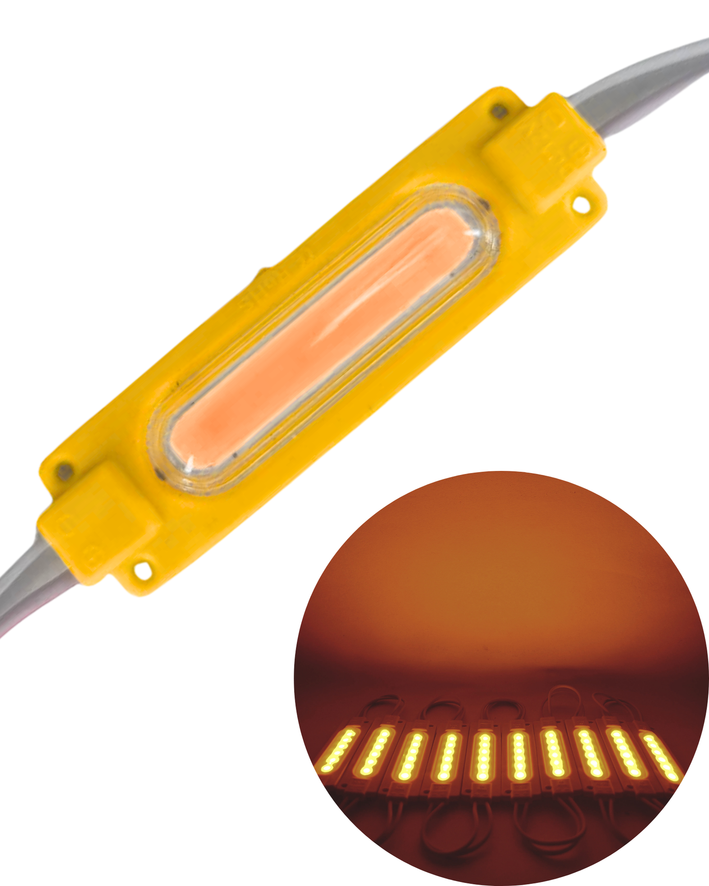 Modulo LED 6818 COB | Modulo LED tipo capsula | Modulo LED de uso general 12v