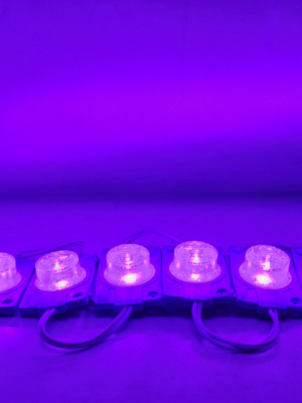 Modulo LED 4931 con lupa | Modulo LED tipo lupa | Modulo LED de uso general 12V