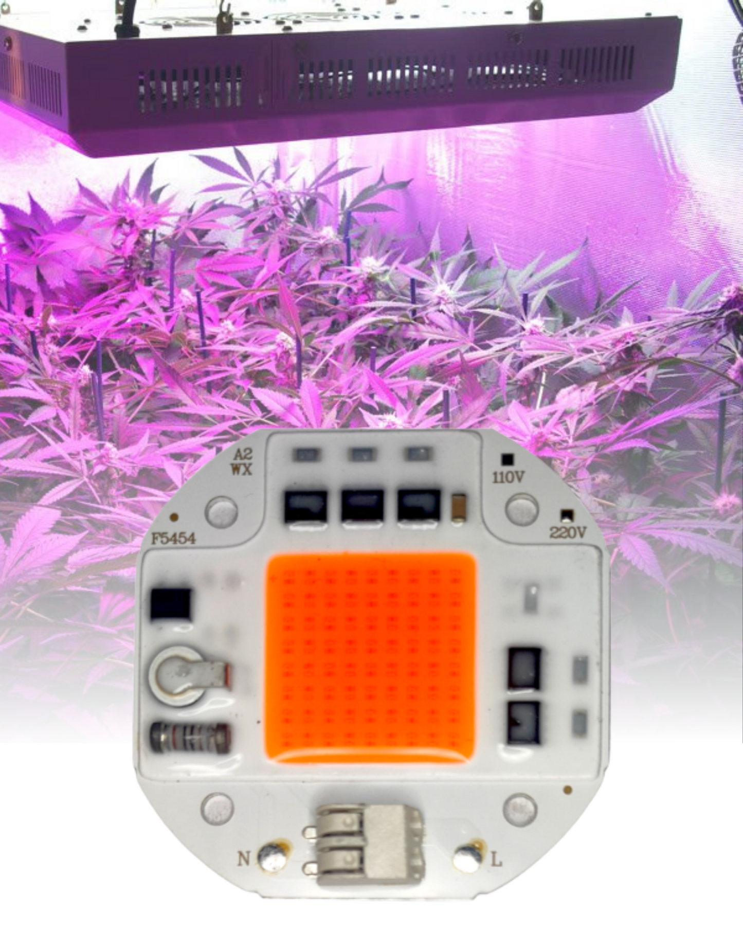 Chip LED de potencia 50W 5454 para Cultivo de plantas | Full spectrum | Espectro completo para invernadero | Próximamente descontinuado
