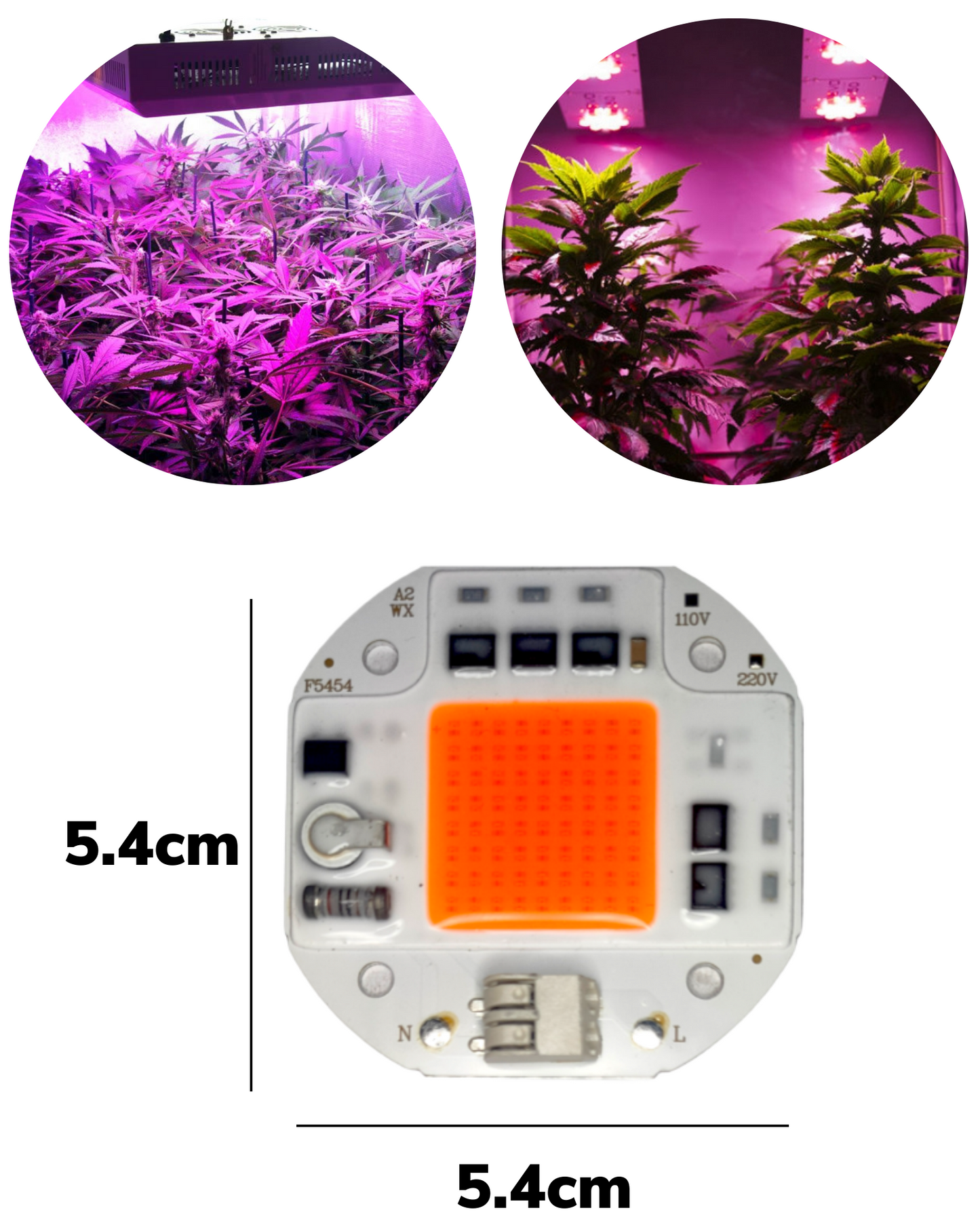 Chip LED de potencia 50W 5454 para Cultivo de plantas | Full spectrum | Espectro completo para invernadero | Próximamente descontinuado