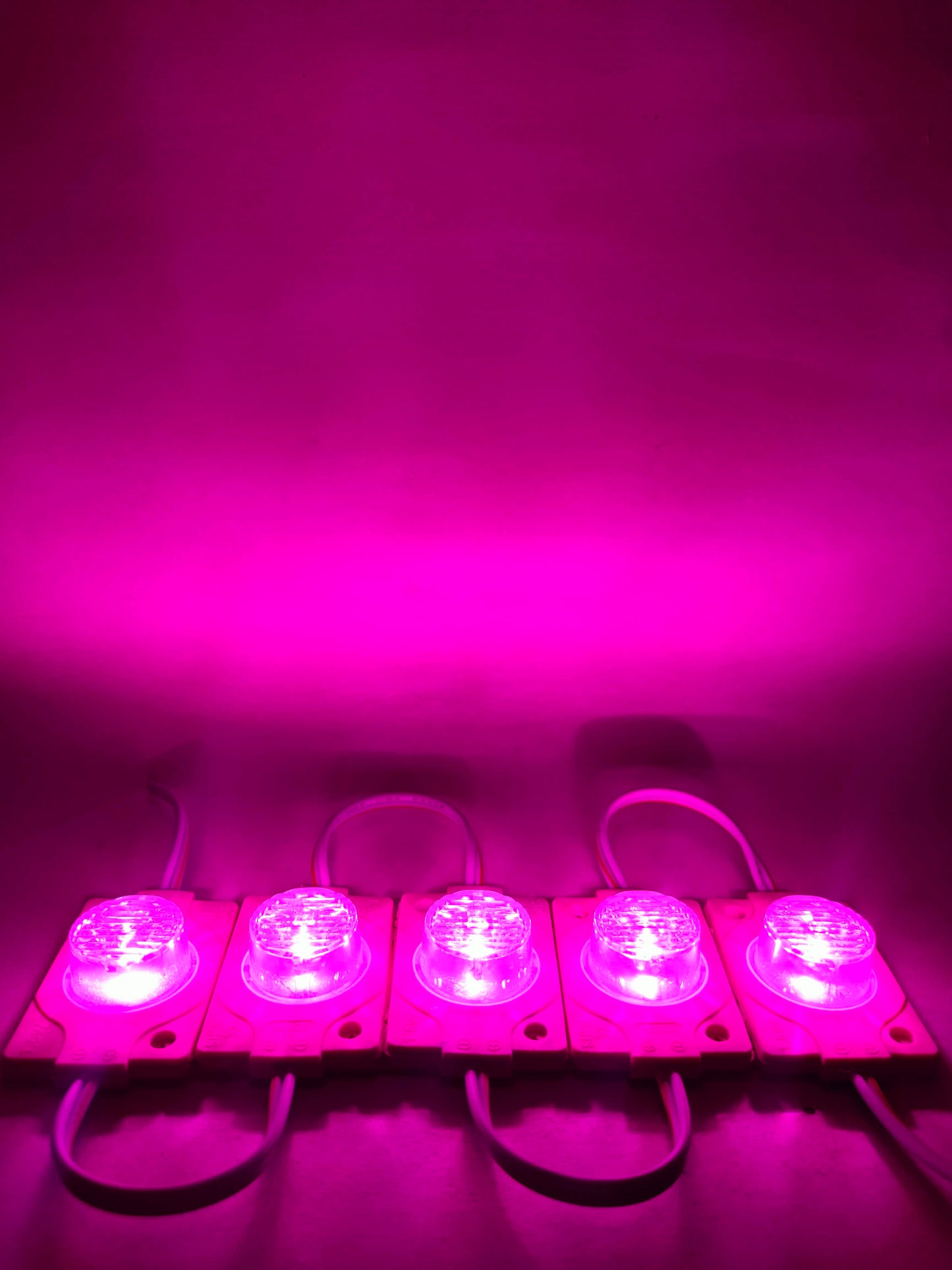 Modulo LED 4931 con lupa | Modulo LED tipo lupa | Modulo LED de uso general 12V