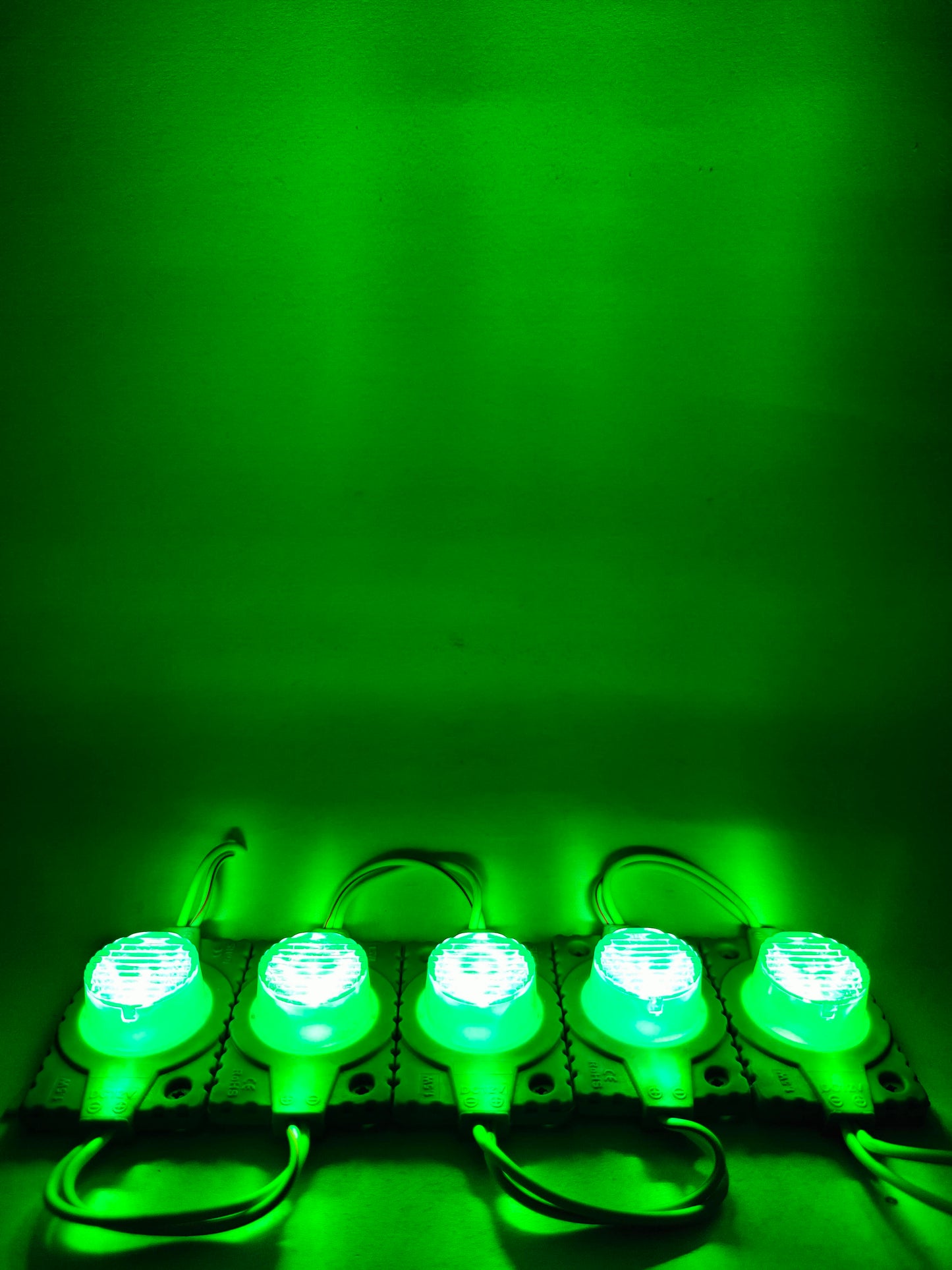 Modulo LED 4931 con lupa | Modulo LED tipo lupa | Modulo LED de uso general 12V