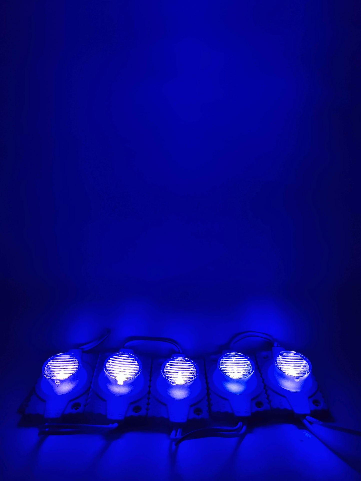 Modulo LED 4931 con lupa | Modulo LED tipo lupa | Modulo LED de uso general 12V
