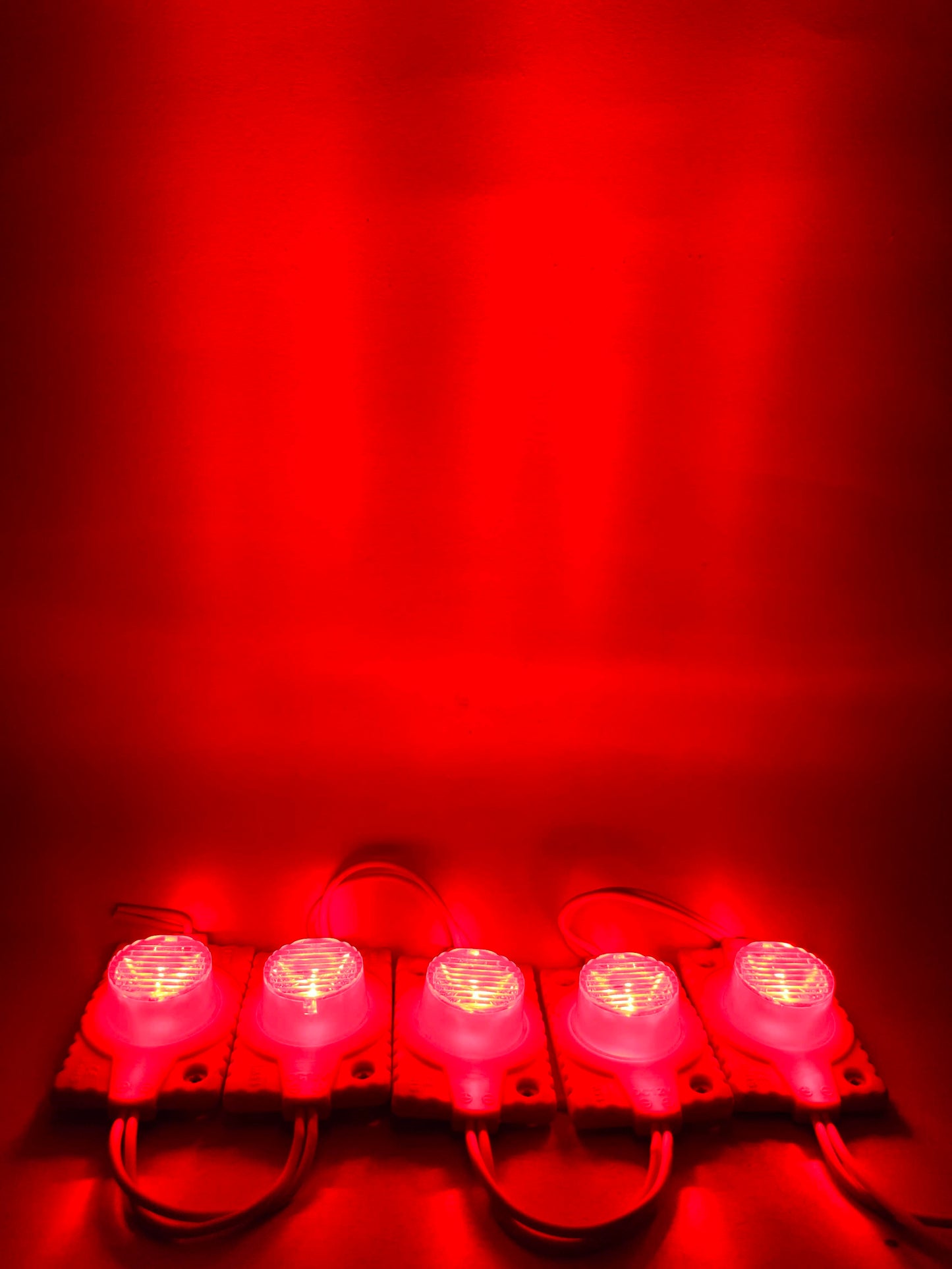 Modulo LED 4931 con lupa | Modulo LED tipo lupa | Modulo LED de uso general 12V