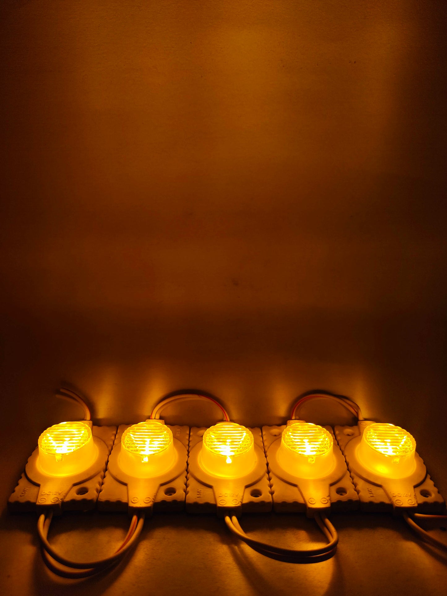 Modulo LED 4931 con lupa | Modulo LED tipo lupa | Modulo LED de uso general 12V