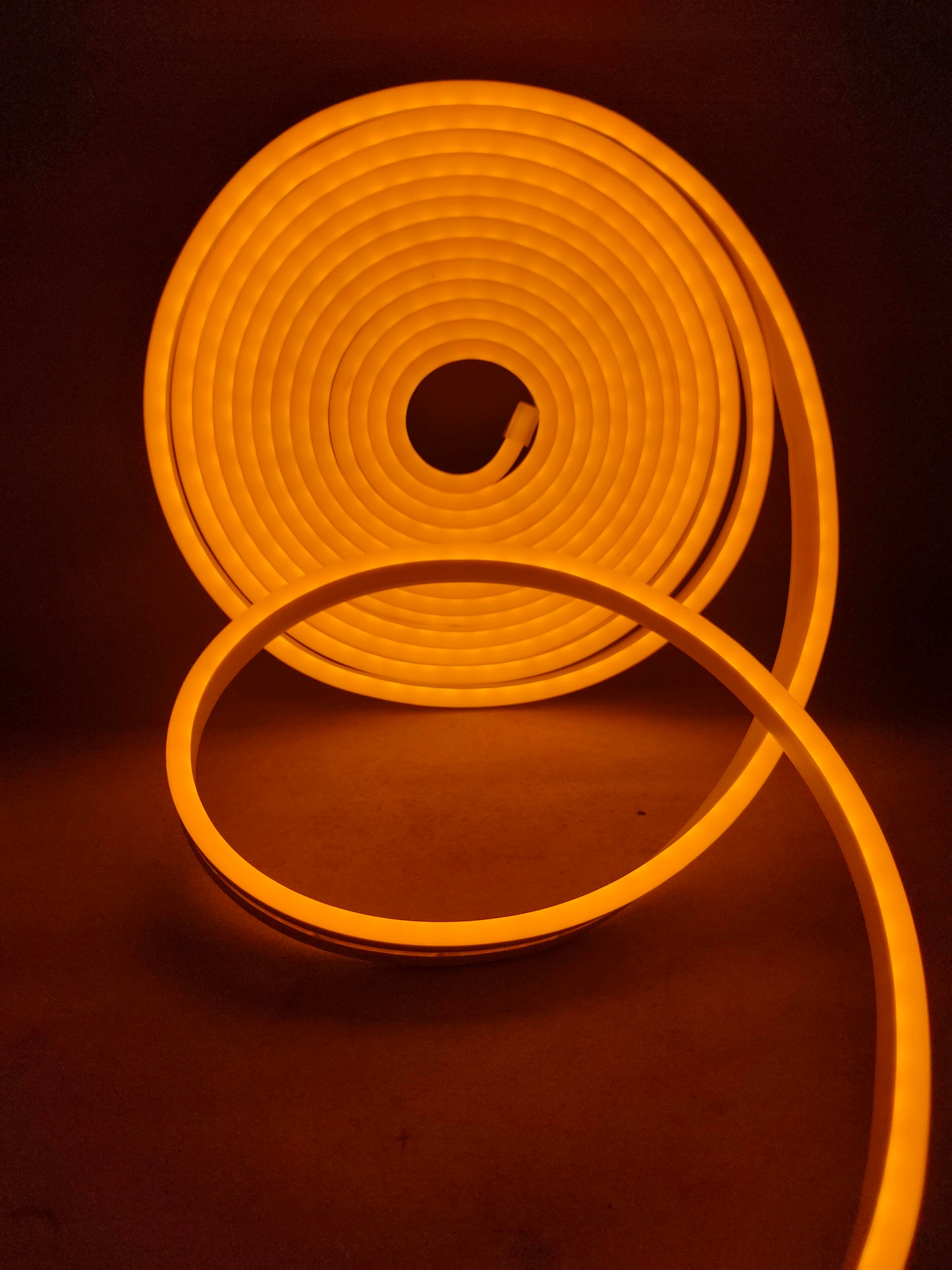 Tira LED NeonFlex exterior IP65 | Rollo 5 metros 12 volts