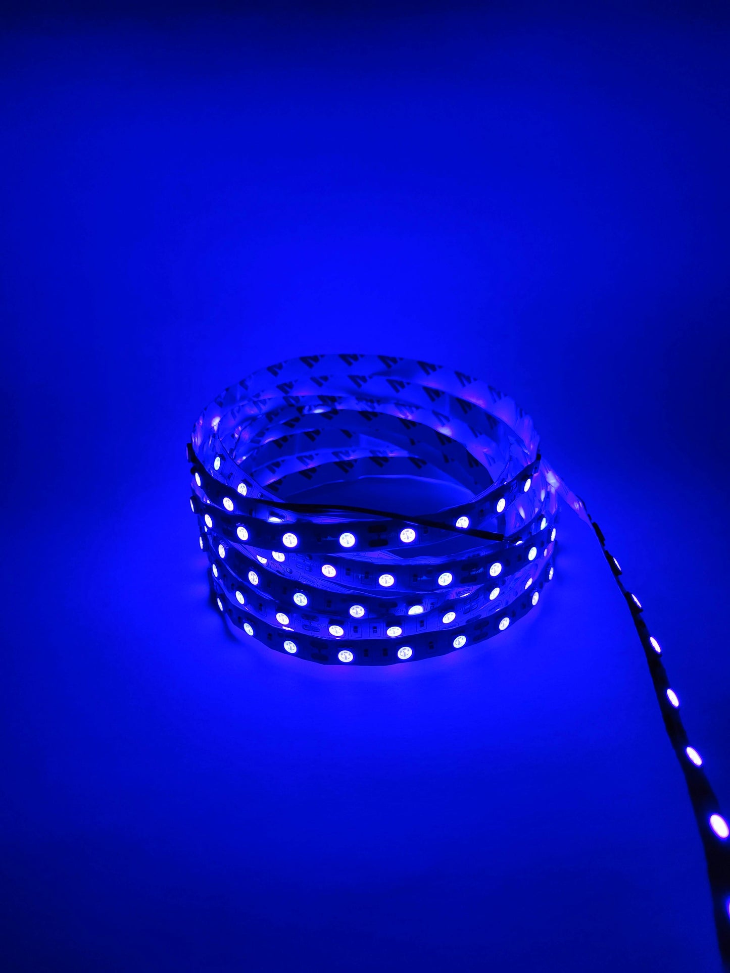 Tira LED 5050 IP20 5 metros | Sin recubrimiento de silicón | Interiores