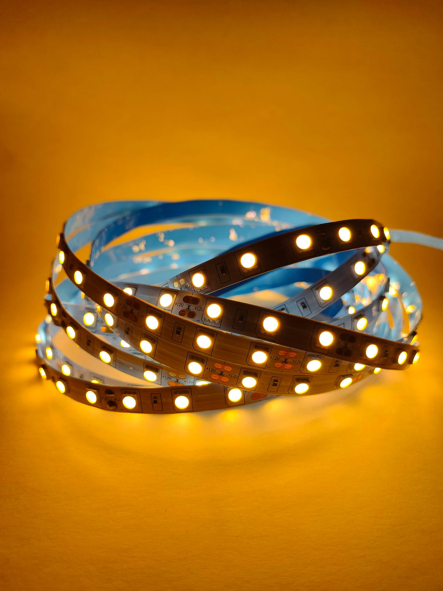 Tira LED 5050 IP20 5 metros | Sin recubrimiento de silicón | Interiores