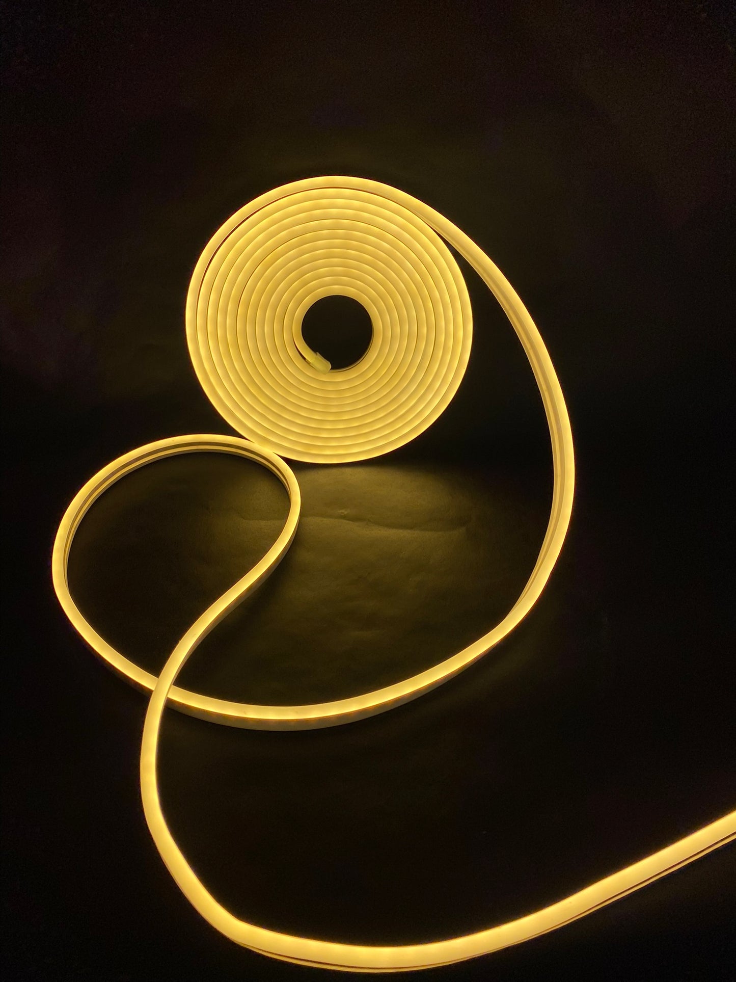 Tira LED NeonFlex exterior IP65 | Rollo 5 metros 12 volts