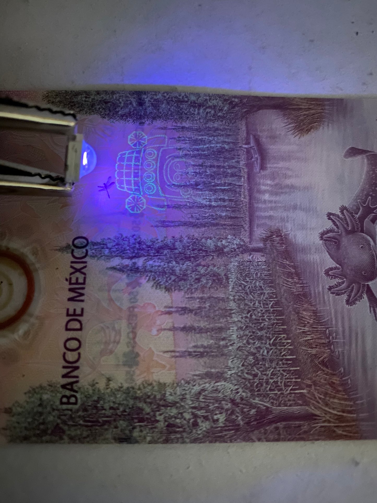 LED de potencia 3w UV | Chip LED Ultravioleta | 390 nm | 400 nm