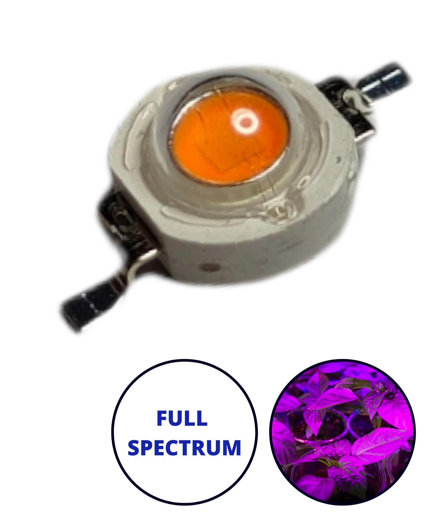 LED de potencia 3w | Cultivo de plantas | Full spectrum