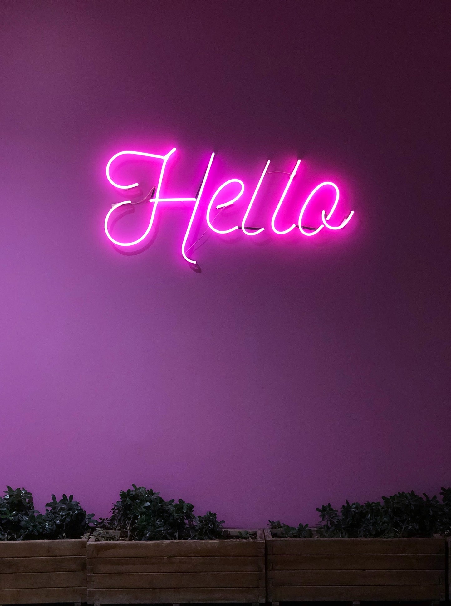 Tira LED NeonFlex exterior IP65 | Rollo 5 metros 12 volts