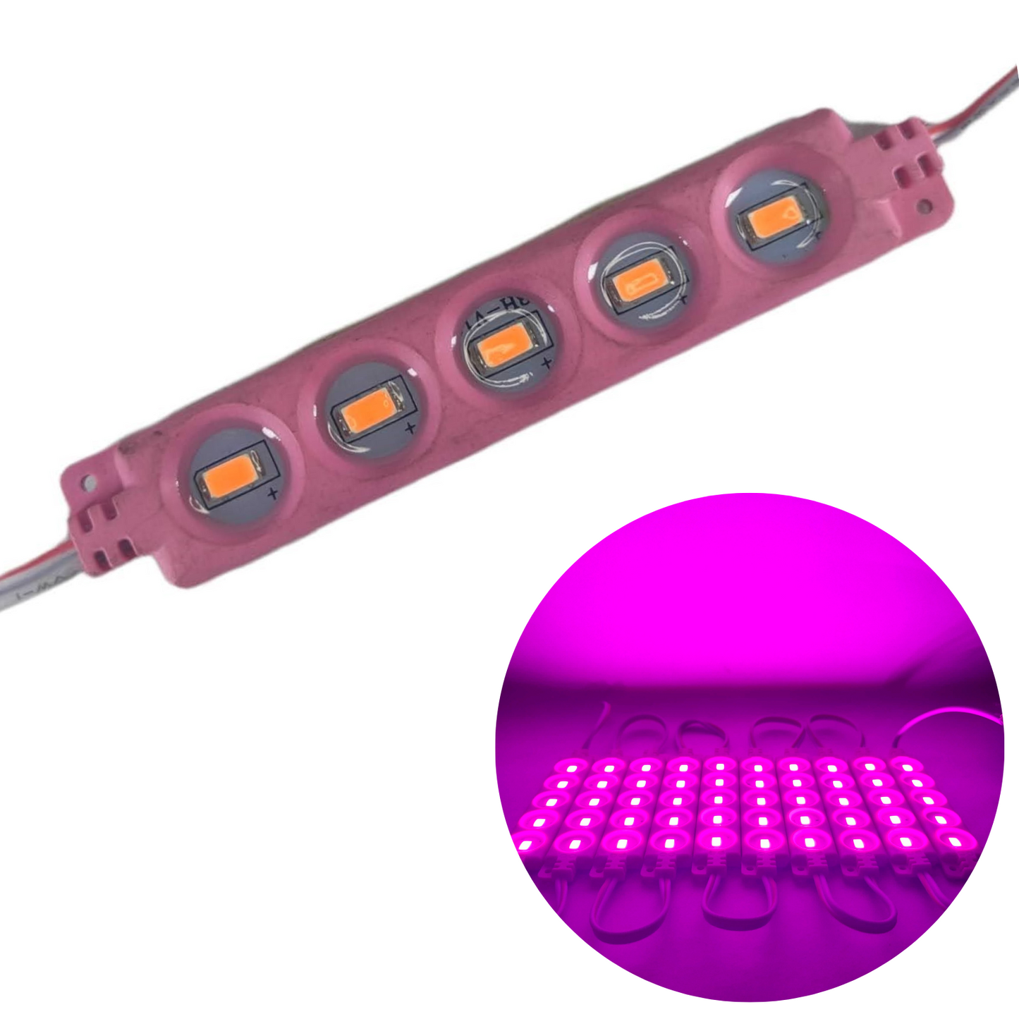 Módulo de LED 9517 5 focos LED | Modulo LED de barra | Modulo LED de uso general 12V