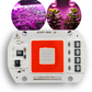Chip LED para Cultivo de plantas 50W 6040 110V | RED + BLUE | Espectro completo para invernadero