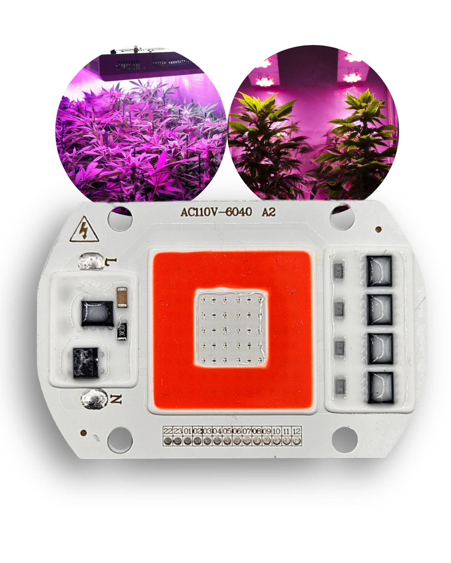 Chip LED para Cultivo de plantas 50W 6040 110V | RED + BLUE | Espectro completo para invernadero