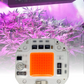 Chip LED de potencia 50W 5454 para Cultivo de plantas | Full spectrum | Espectro completo para invernadero