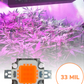 Chip LED de potencia 10w para Cultivo de plantas | Full spectrum | Espectro completo para invernadero