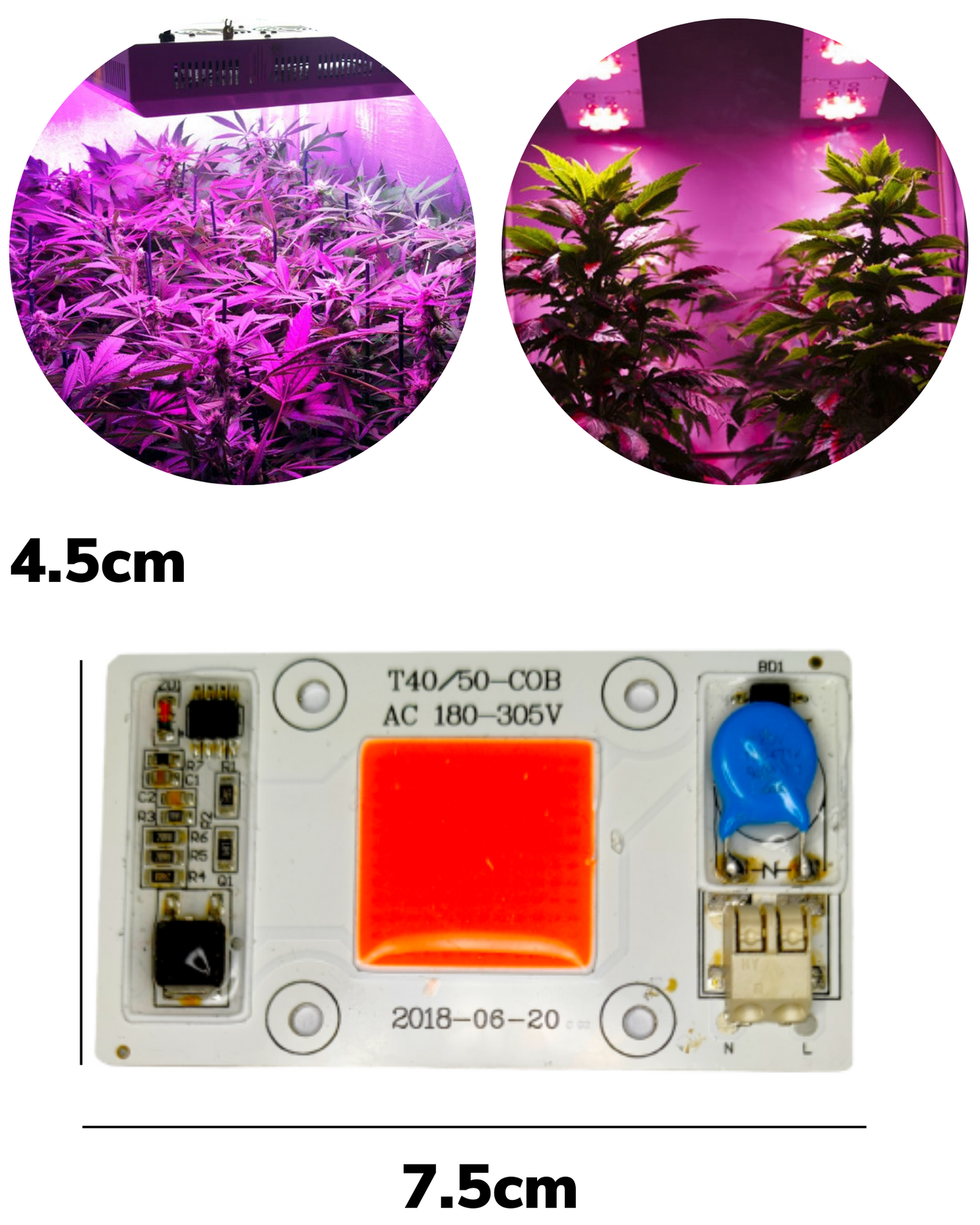 Chip LED de potencia 50W 7744 para Cultivo de plantas | Full spectrum | Espectro completo para invernadero