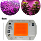 Chip LED de potencia 20W 6040 para Cultivo de plantas | Full spectrum | Espectro completo para invernadero