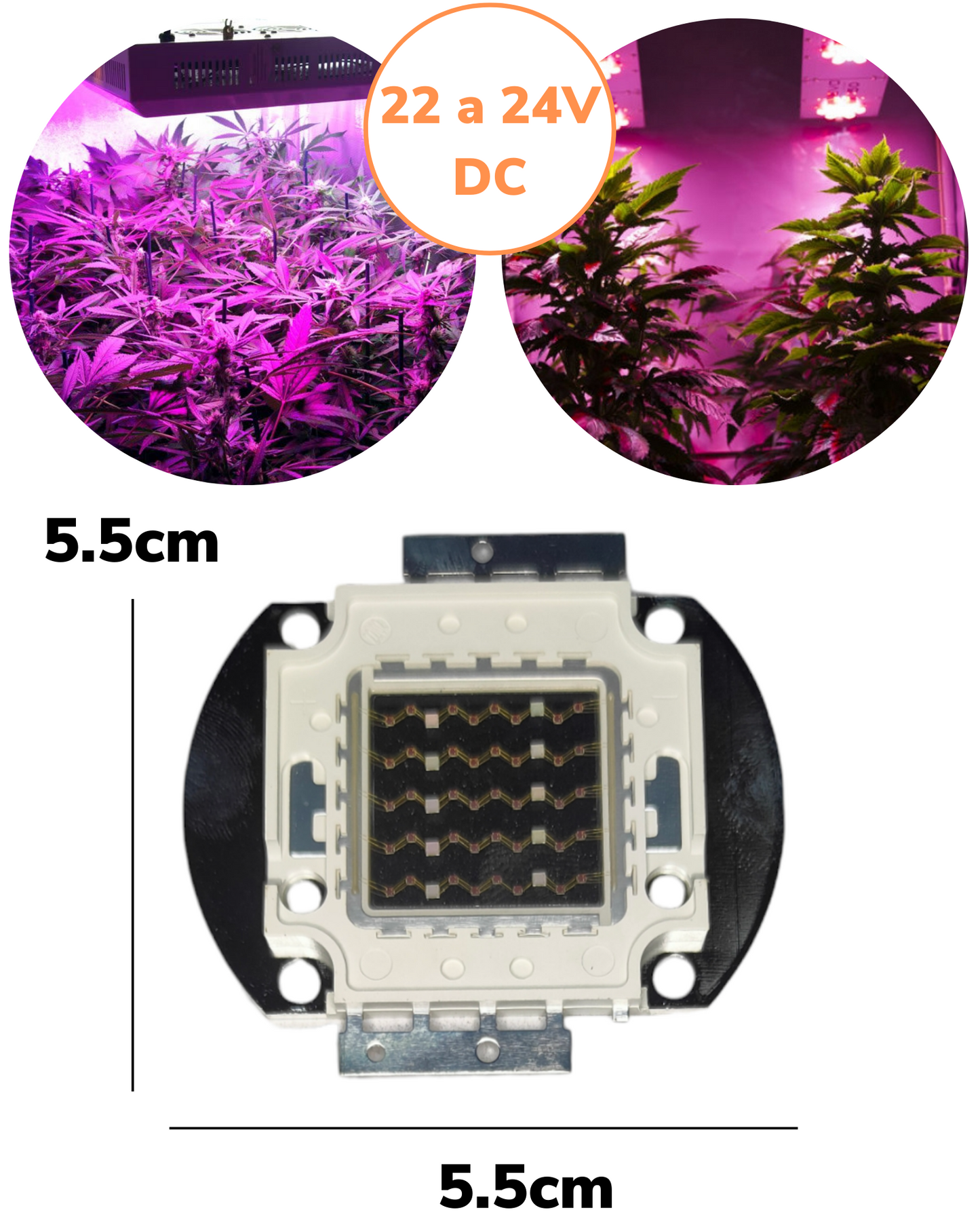 Chip LED de potencia Rojo + Azul para Cultivo de plantas | 440 + 660nm | Espectro completo para invernadero
