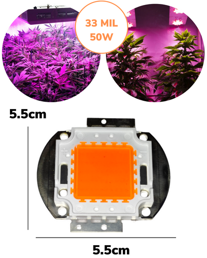 Chip LED de potencia 50w Cultivo de plantas | Full spectrum | Espectro completo para invernadero