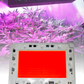 Chip LED de potencia 50W 135100 para Cultivo de plantas | Full spectrum | Espectro completo para invernadero