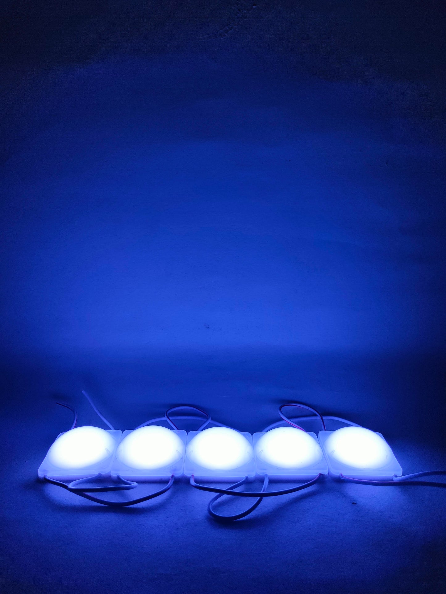 Modulo LED 4036 COB | Modulo LED tipo burbuja | Modulo LED de uso general 12v