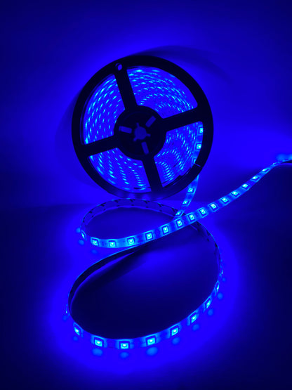 Tira de luz LED 5050 | 12V 5 metros | Protección de silicón | Cinta doble cara