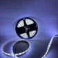 Tira de luz LED 5050 | 12 Volts 5 metros | Proteccion de silicon