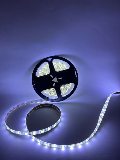 Tira de luz LED 5050 | 12 Volts 5 metros | Proteccion de silicon