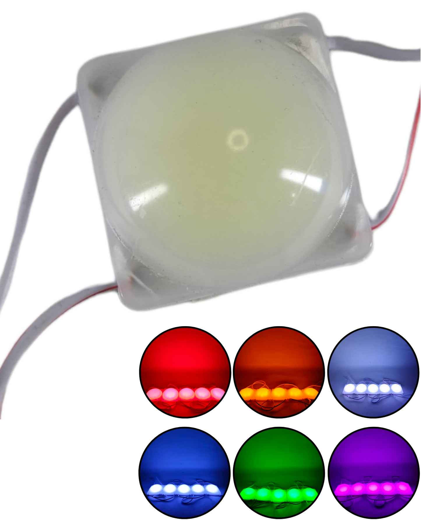 Modulo de luz LED 4036 COB burbuja | Modulo LED 12V